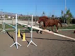 TEOREM DE PION PARA/ OBSTACLE EN LIBERTE