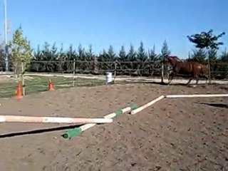 TEXAS DE PION PARA /OBSTACLE EN LIBERTE