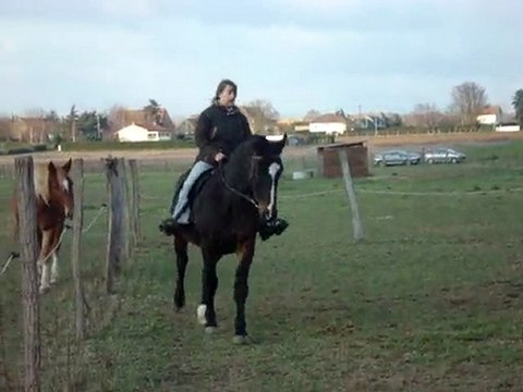 magic galop gauche carrière