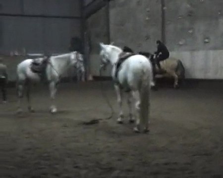 voltige cosaque en cercle