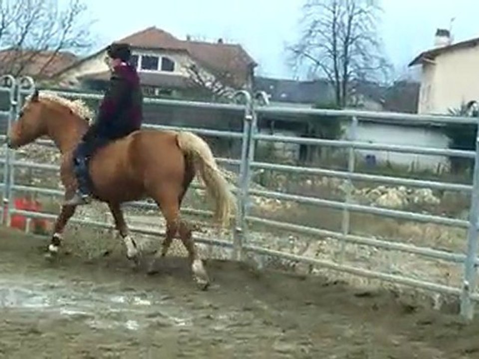 Ignès travail a cru en liberté