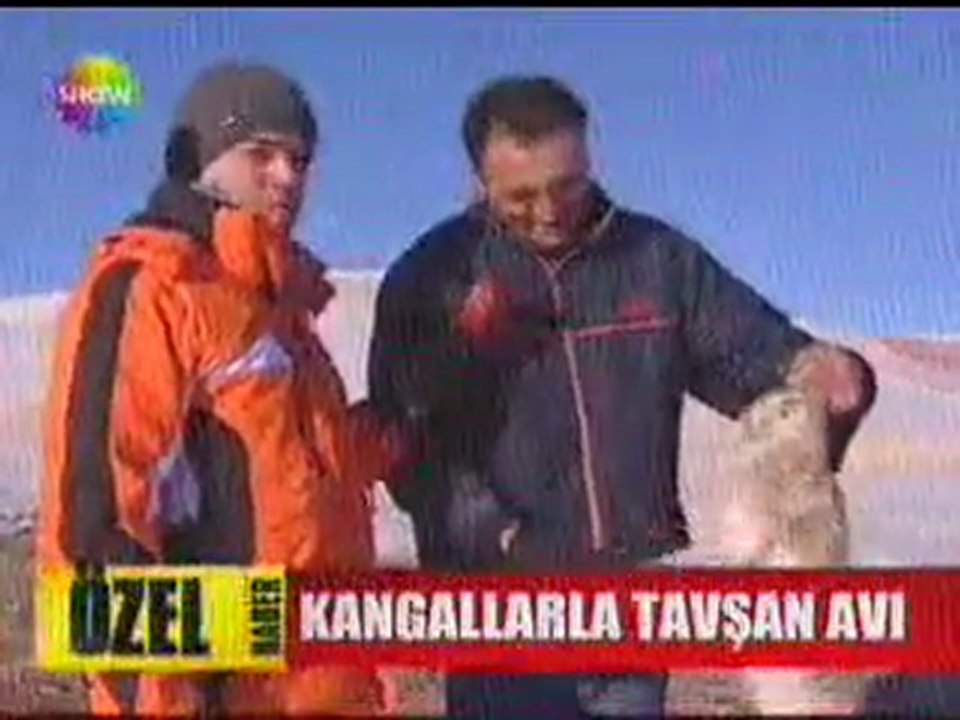 Aşil ve Panterler Tavşan Avında