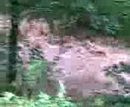 ARTVİN BORÇKA GÜREŞEN KÖYÜ KEMERKÖPRÜ 23 EYLÜL SEL