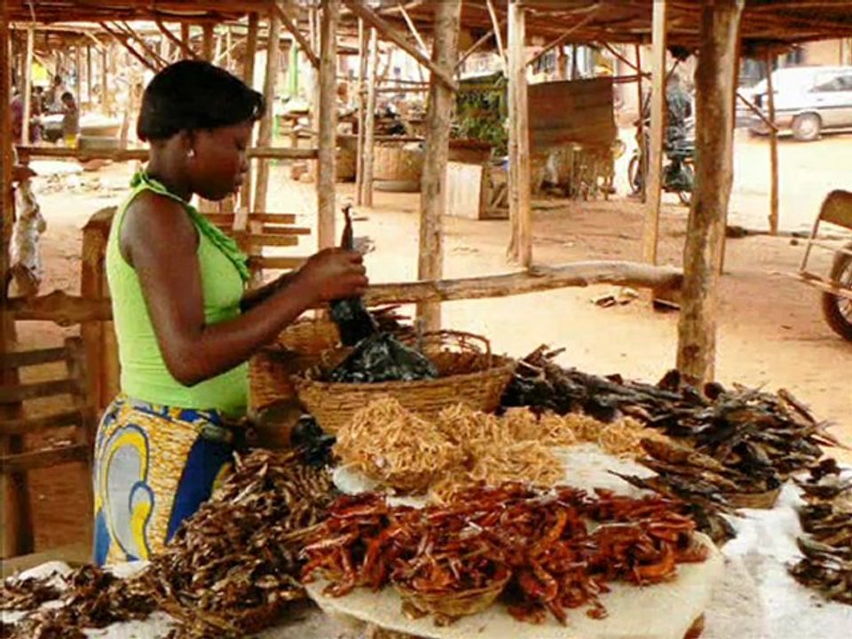AFRICAINS