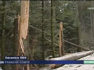 La tempête de 1999, 10 ans après...