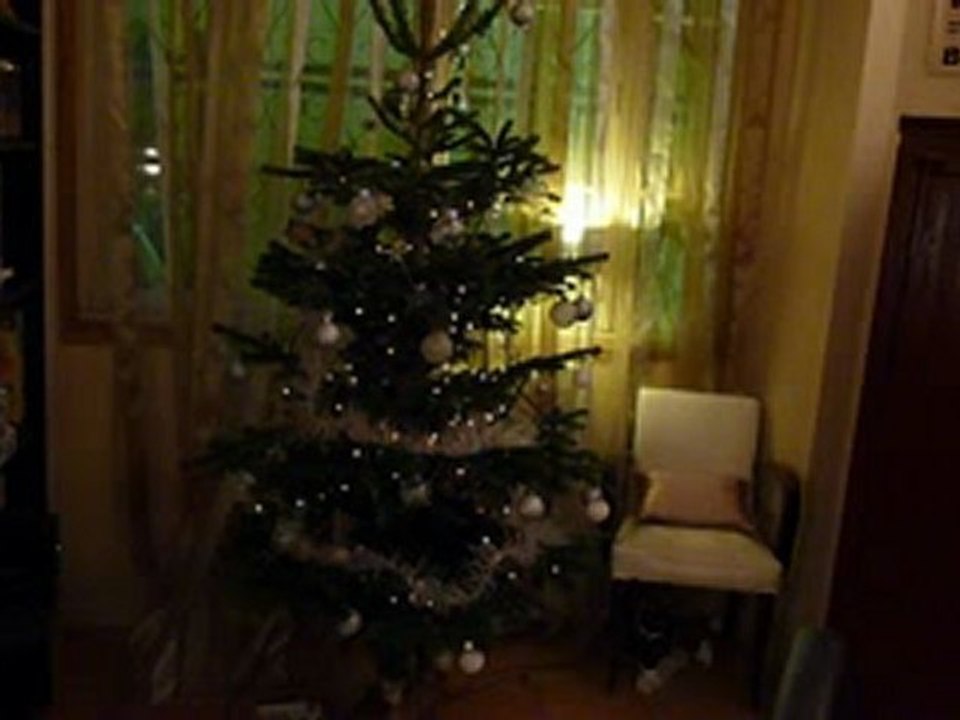 Sapin 2009