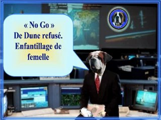 Lancement navette_0001