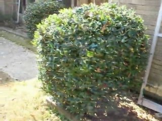 Mike Wreggitt's Video Blog- 7 Dec, 09