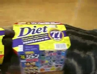 Tombiş kedi diyet kutusuna fena taktı! / OzgunBakis.Com