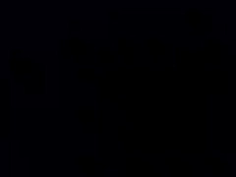 La chanson du dimanche le 12/12/09 Elysée (Pouvoir d'achat)