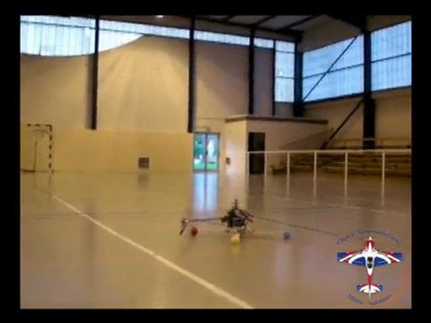 Fabrice 1er vol en Align T-rex 500