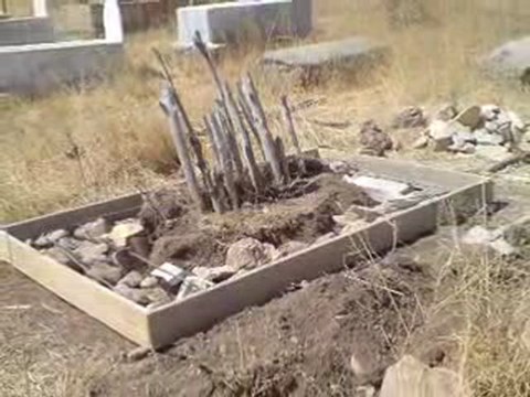 Acirli koyu - Seval Altintas Anisina