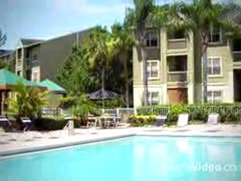 Audubon Village Apartments in Tampa, FL-ForRent.com