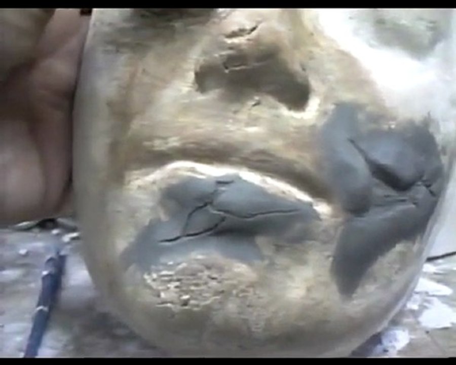 Joker Scars 2009 Asylum Smile vid 1