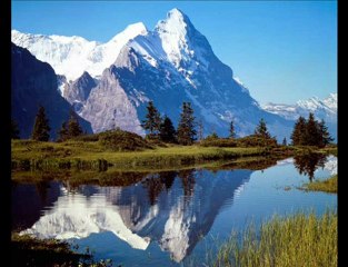 mevlama kul olamadım