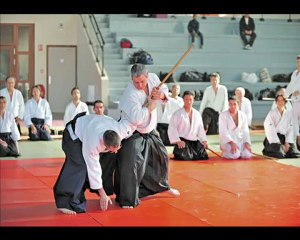 AIKIDO VILLEFRANCHE SUR SAÔNE 2009 STAGE AVEC ALAIN PEYRACHE
