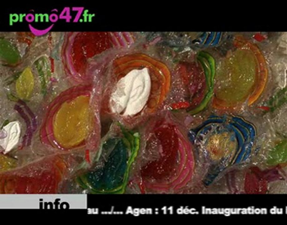 Promo47.fr - JT du 10/12/09  Exposition Gracia -