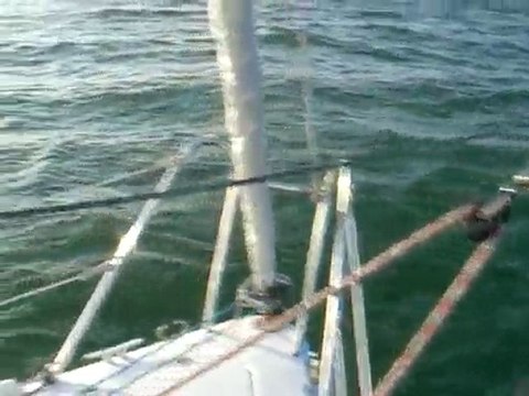 Pogo 8.50 - Epsilon 3D Sous spi