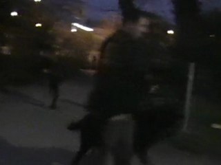 Eros et Darwin du Domaine de Sultan