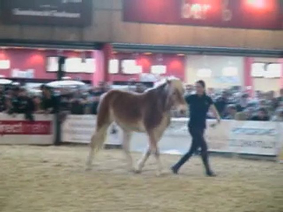pauline et naiade salon cheval 2009 1
