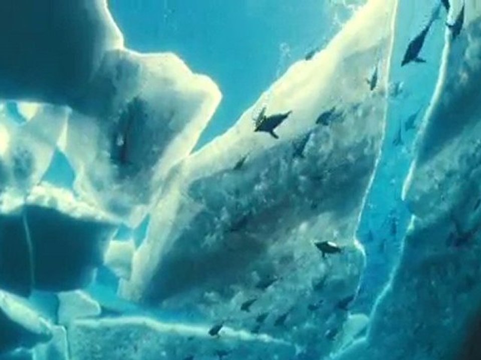 Offizieller Kinotrailer: Unsere Ozeane - ab 25. Februar 2010