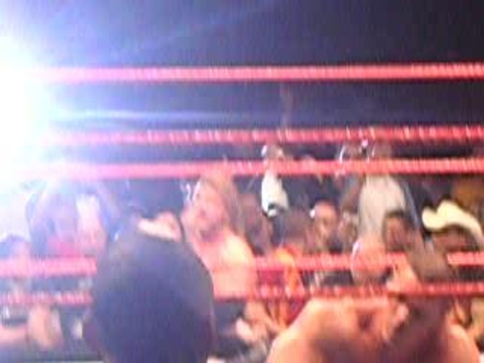 Wwe Revenge tour