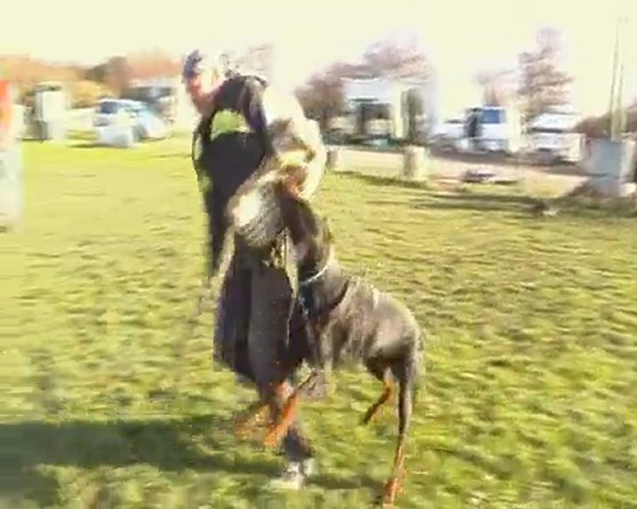 Diablo mordant Ludek