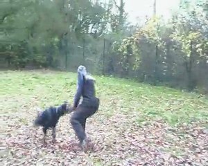 Diablo mordant Ludek