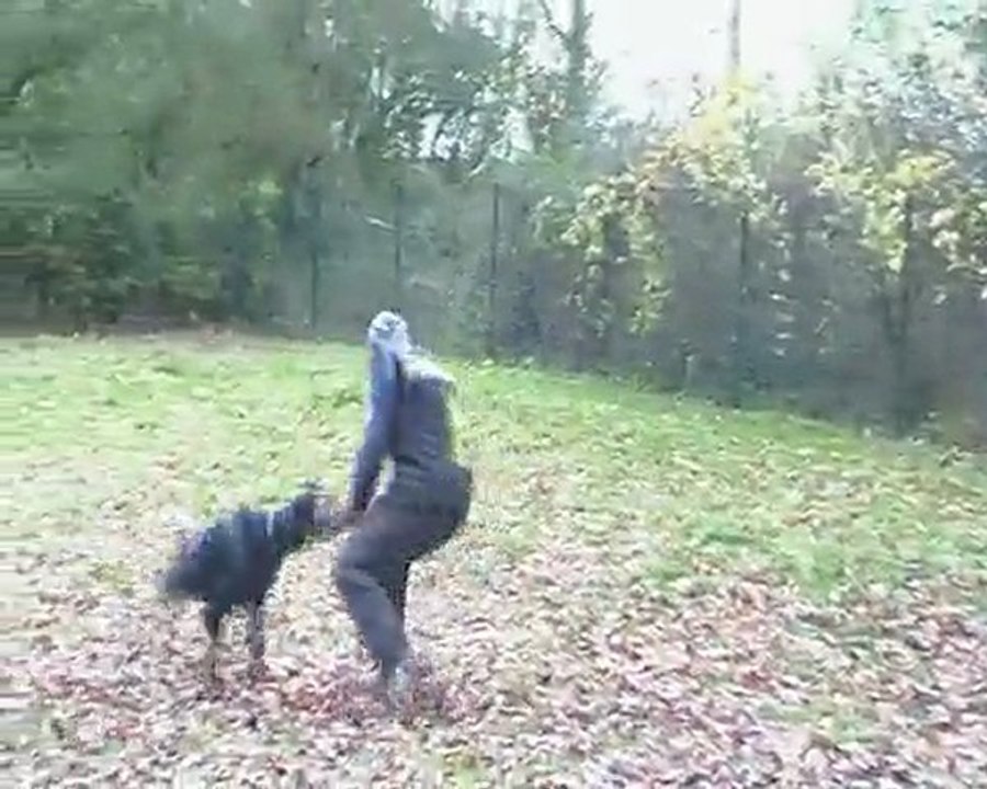 Diablo mordant Ludek