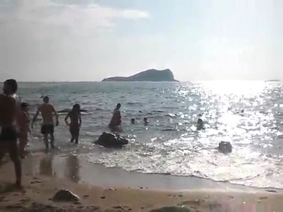 Cala Compte Ibiza