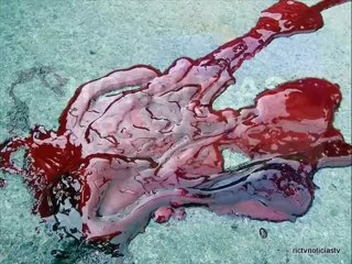 tributo victimas honduras golpe militar