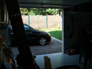 J'aime les chiens, mais tout de même !