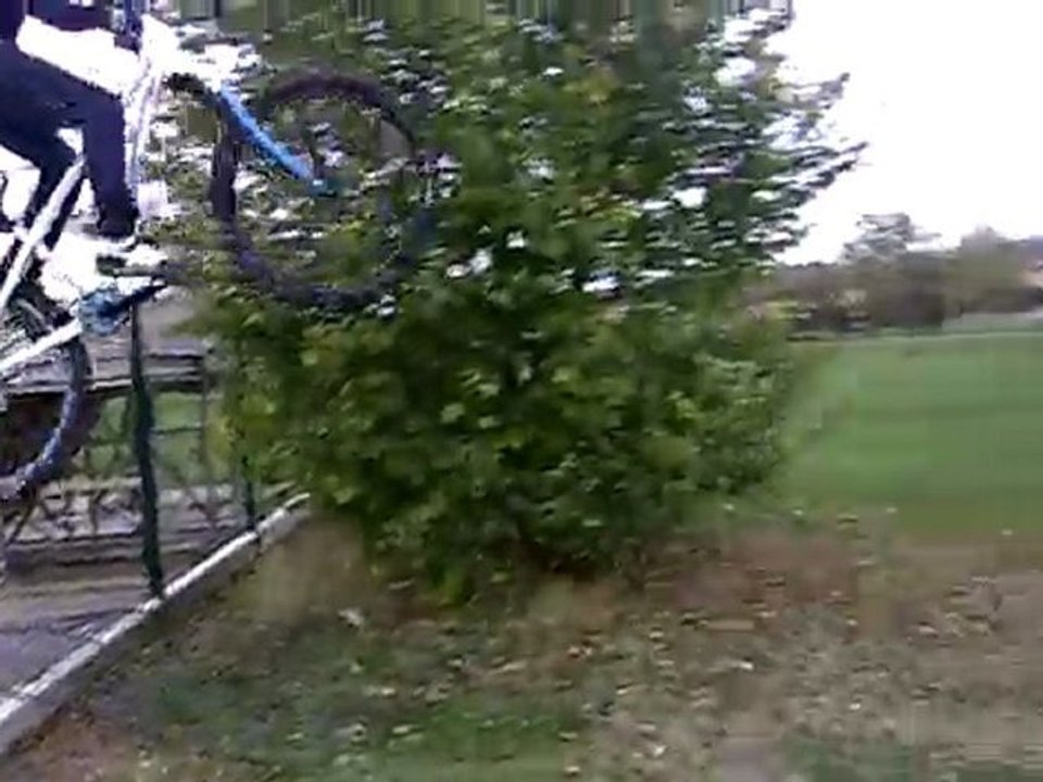 pro31