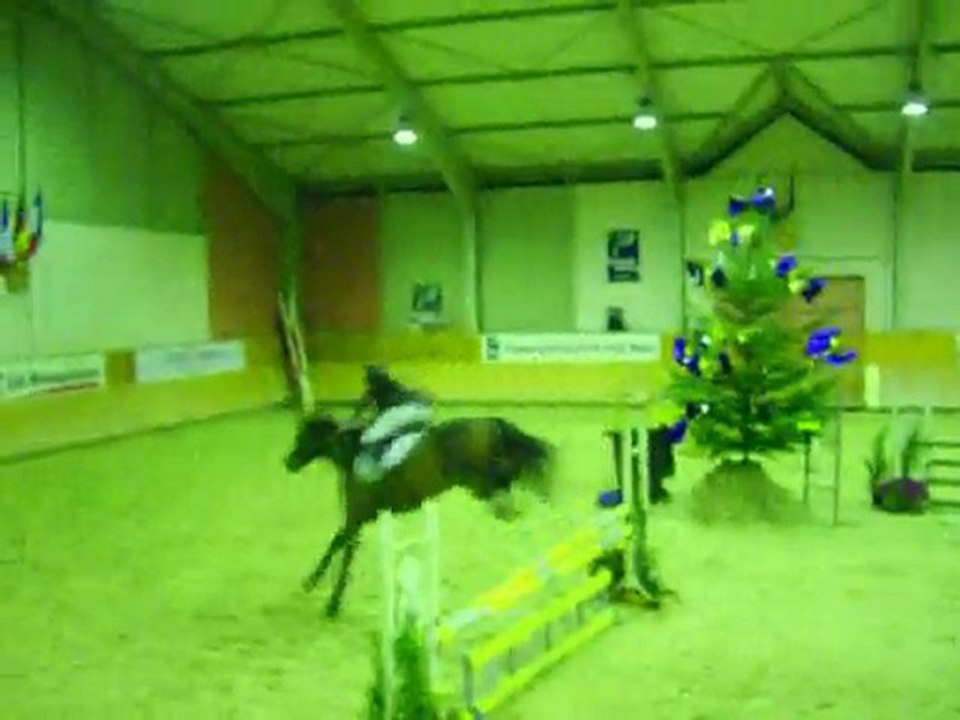 Poney en concours