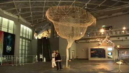 Salt sculpture Karin van de Molen