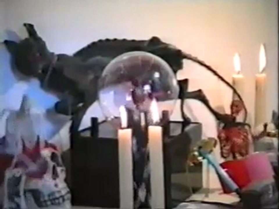 Gaye Bykers on Acid - Everything is Groovy