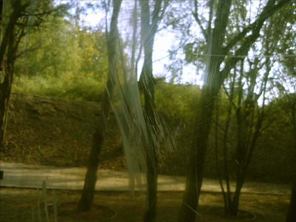 Le jardin des miroirs, Bernard TSCHUMI