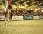 Pauline et Naiade Salon du Cheval 2009 Travail Monté