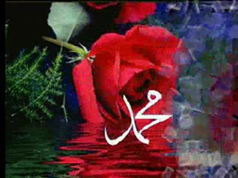 Gül Gazeli - Osman YANARDAĞ