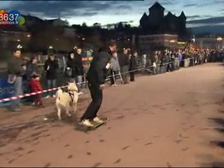 Téléthon 2009 - Dog's Skate