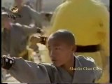 Ven. Shi Deyang | Kung Fu (Shaolin Chan City, St. Louis, MO)