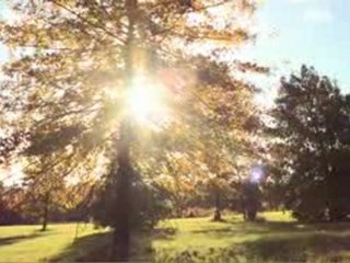 Dug Down Deep - Unearthing What I Believe and Why It Matters