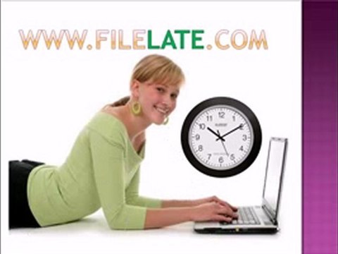 2004 tax: self-service online filing system