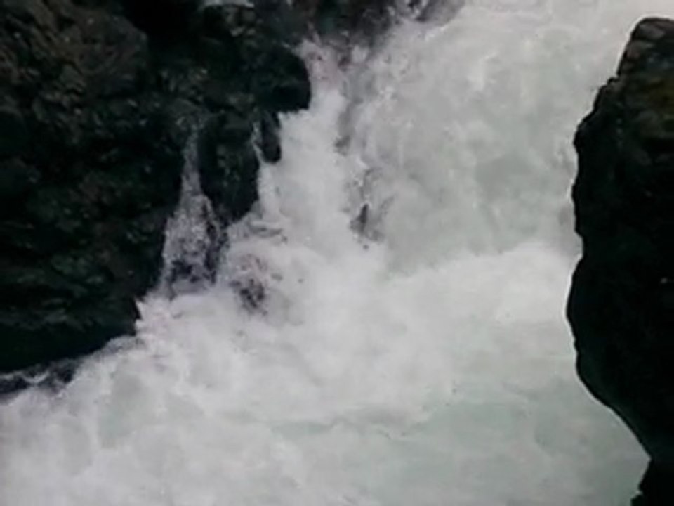 Salmon jump