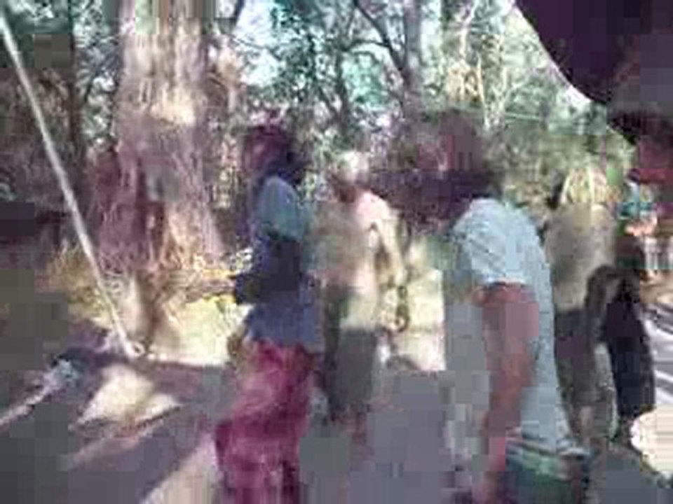 The Psymatic Experiment - New Italy - NSW - AUSTRALIA