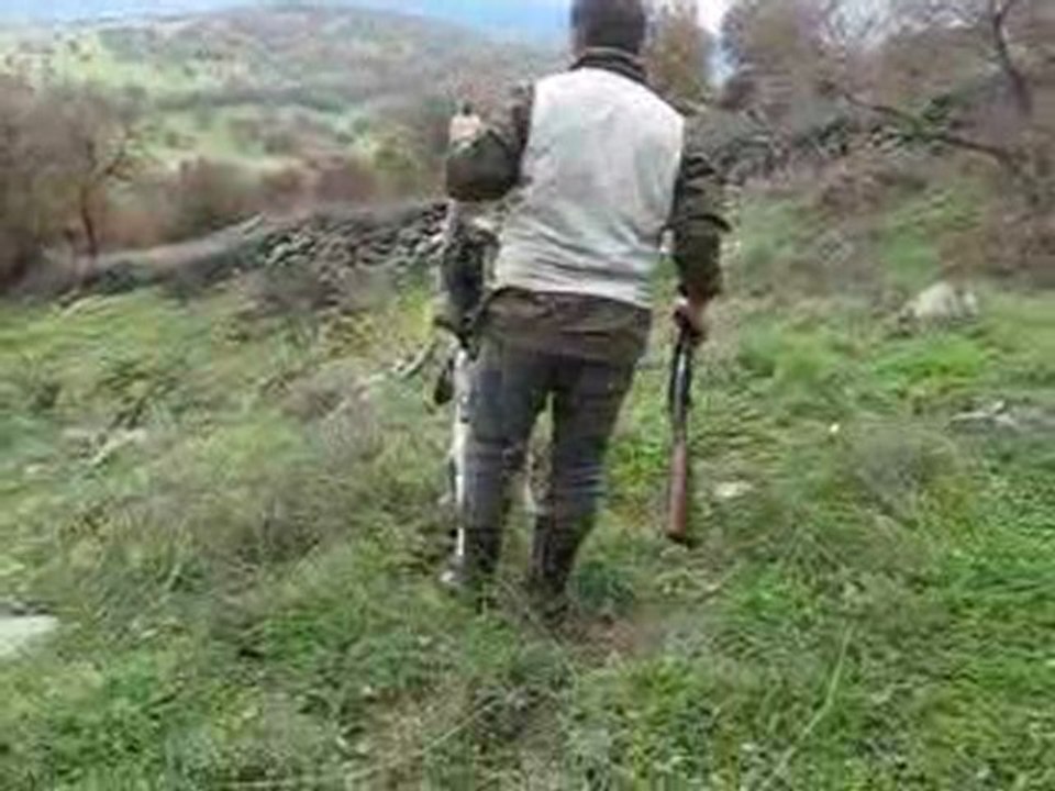 Can Tavşanı Getiriyor..