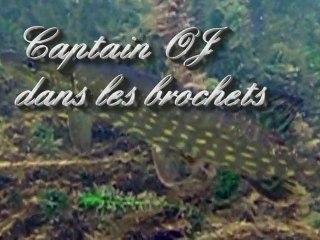 Cap'tain OJ dans les brochets dec 2009