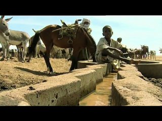 Rendez-vous au Kenya - Gestion de l'eau