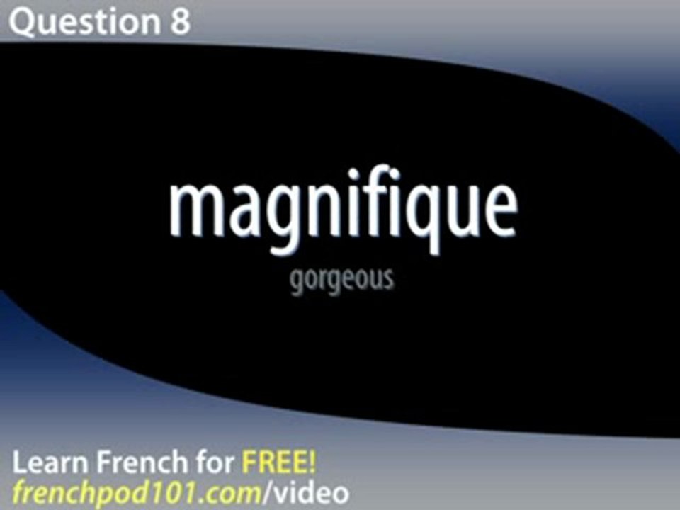 Learn French - French Video Vocabulary Newbie series #6