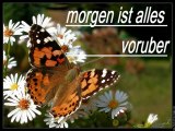 morgen ist alles voruber